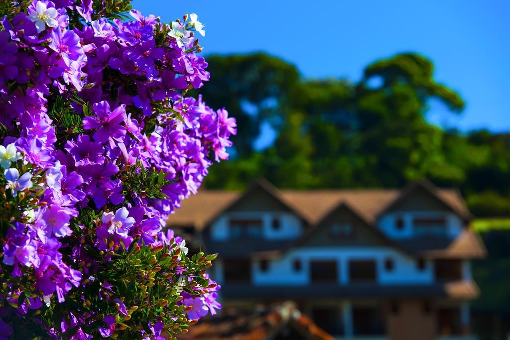 Hotel Pousada Dos Pinhos Pedra Azul  Zewnętrze zdjęcie